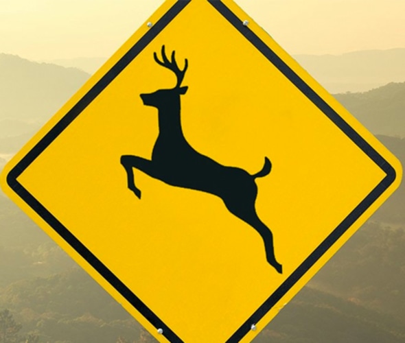 Yellow deer crossing sign with foggy mountains visible in the distance