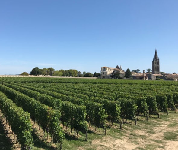 taste of bordeaux river cruise visits saint emillion vineyards