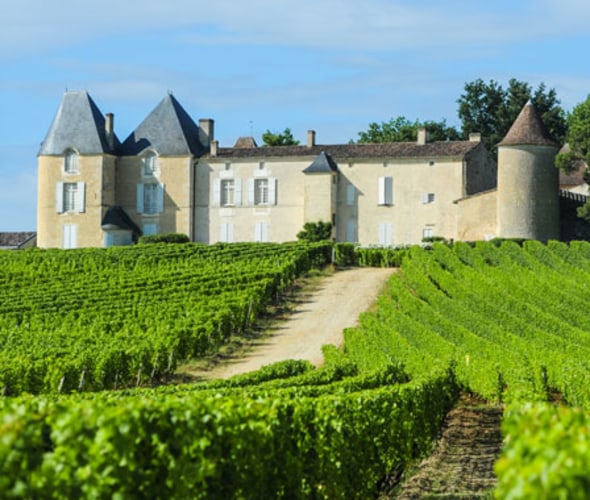 visit the sauternes wine region on a taste of bordeaux river cruise