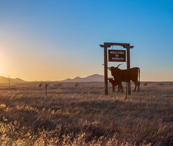 pair of steel longhorns welcome travelers to Sonoita, Arizona