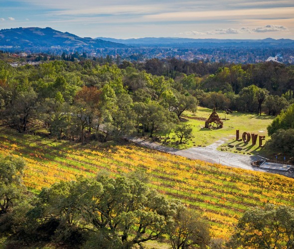 California wine country in the fall.