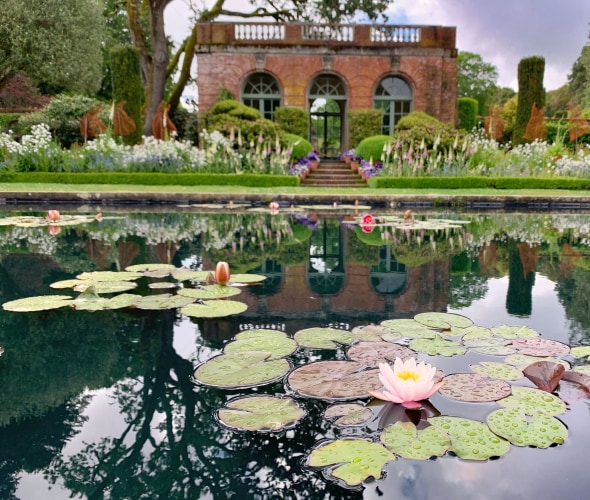 Water lilies bloom on a pond in front of the Filoli historic house.