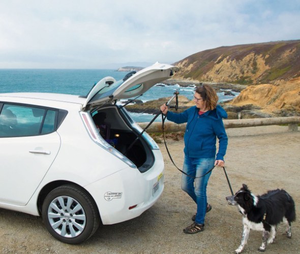 a  woman with her dog on a leash, overlooking the ocean, with the back of her EV open