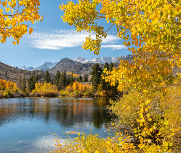 Fall color reflects on water in California's Eastern Sierras.