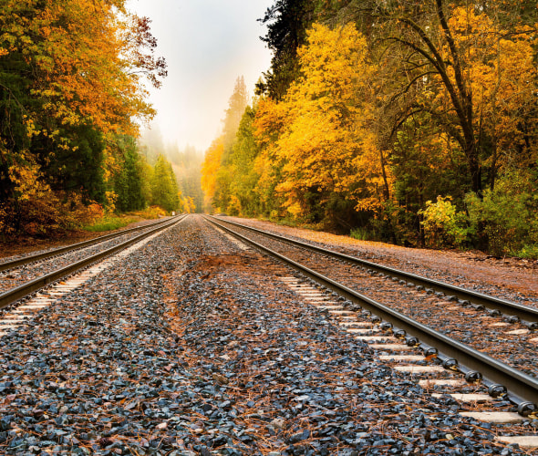 Trees with orange and yellow leaves line railroad tracks.