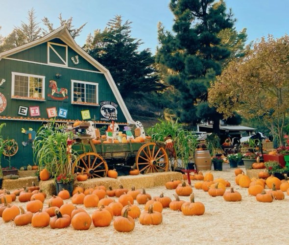 Pumpkins sit outside the green barn at Lemos Farm in Half Moon Bay, California.