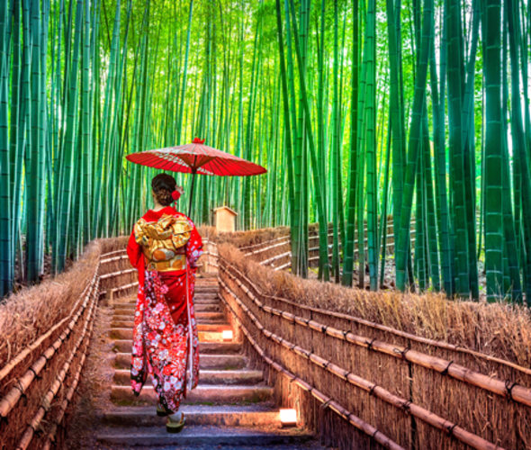 woman in traditional garb walking in bamboo forest in japan