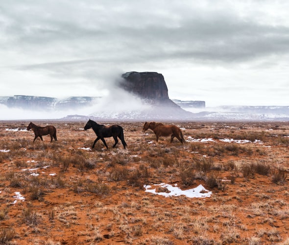 Horses roam through Arizona's Monument Valley on a winter's day.