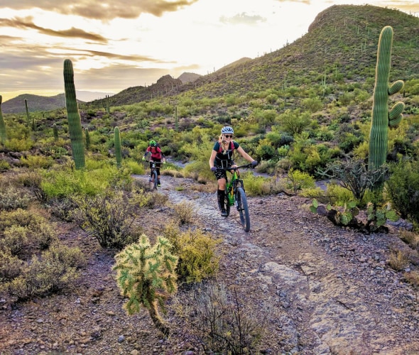 Two mountain bikers ride on the Starr Pass trail in Tucson Mountain Park, Arizona.