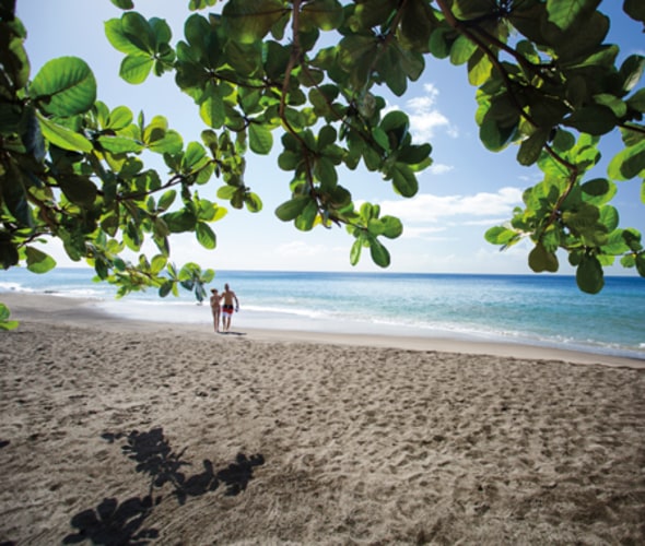 royal caribbean cruises visit the black sand beaches on martinique