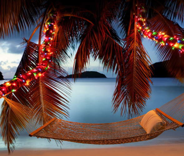 beachside hammock with holiday lights
