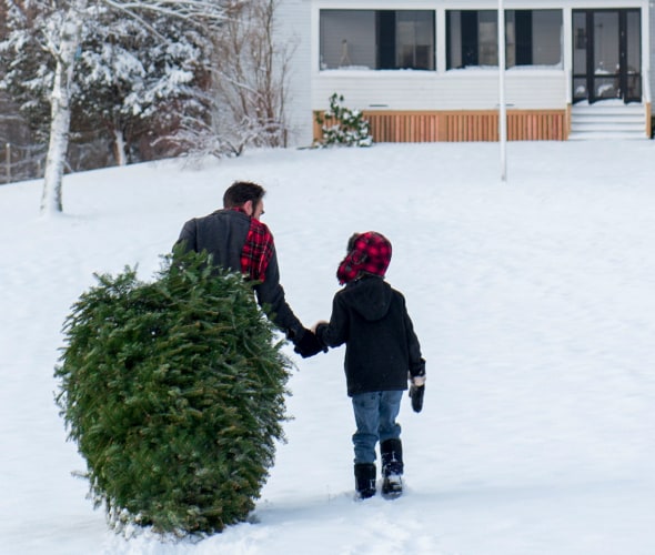 A father and child bring home their Christmas tree through the snow.