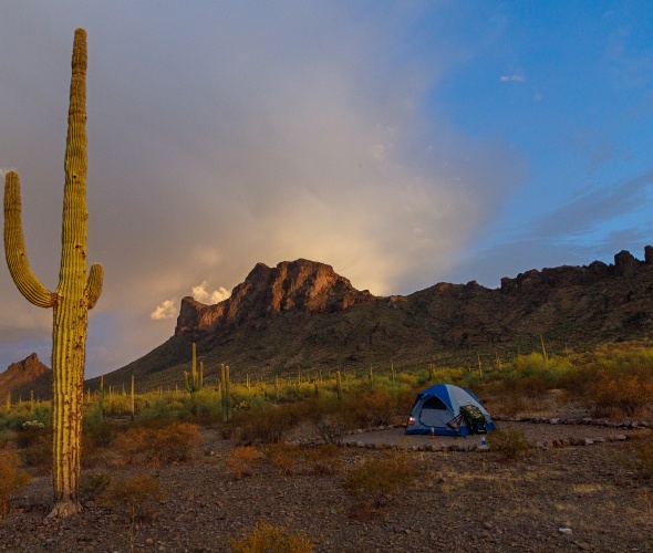 A tent in Picacho Peak State Park Campground, Wymola, Arizona.