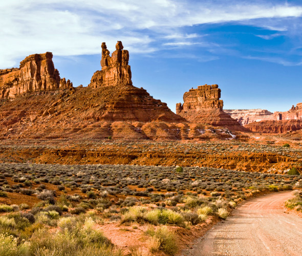 A dirt road through Valley of the Gods in Utah.