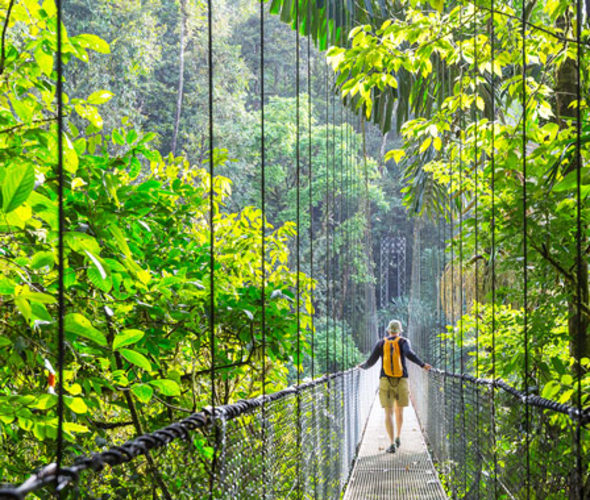 Traveler hiking in green tropical jungle