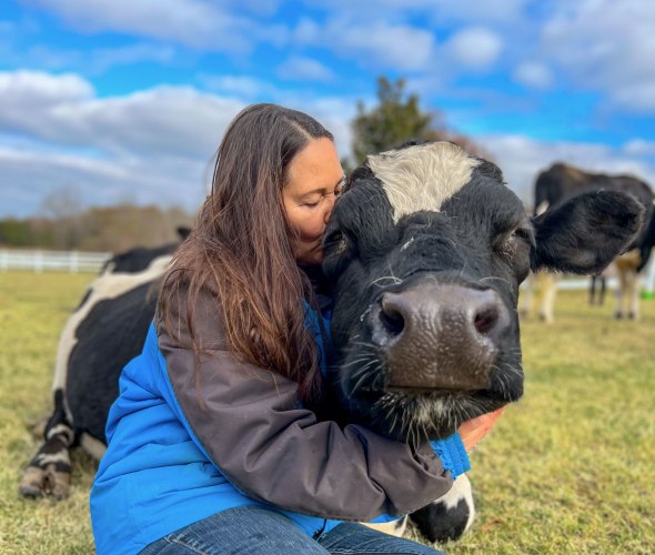 Gentle Barn Founder, Ellie, with cow, Maybelle, at the sanctuary in California.