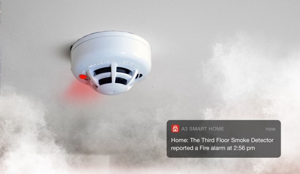 Smoke alarm with smoke