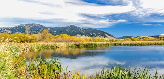 bozeman local dicounts
