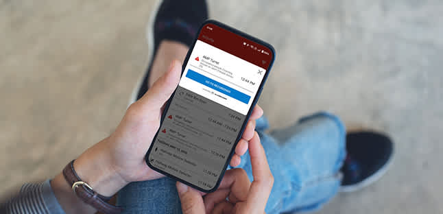intrusion detection system from AAA Smart Security