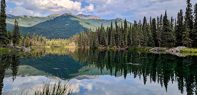alaska discounts coming soon
