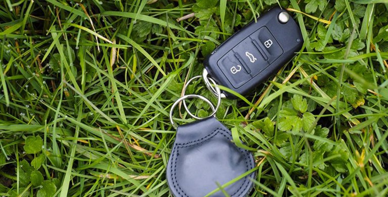 Keys sitting in the grass while a Member waits for AAA Car Locksmith Service