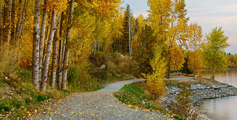 A lakeside hiking path surrounded by yellow aspens in Idaho.