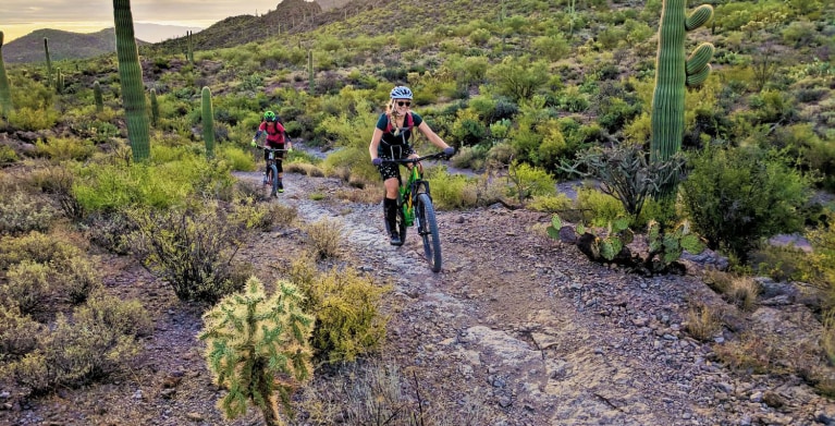 Two mountain bikers ride on the Starr Pass trail in Tucson Mountain Park, Arizona.