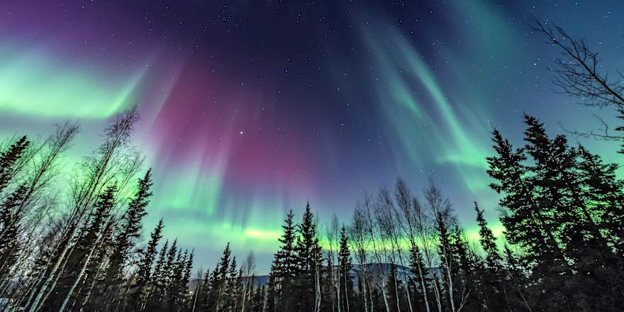 Northern lights
