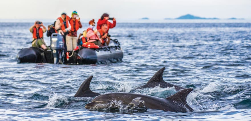 castle made of stone
