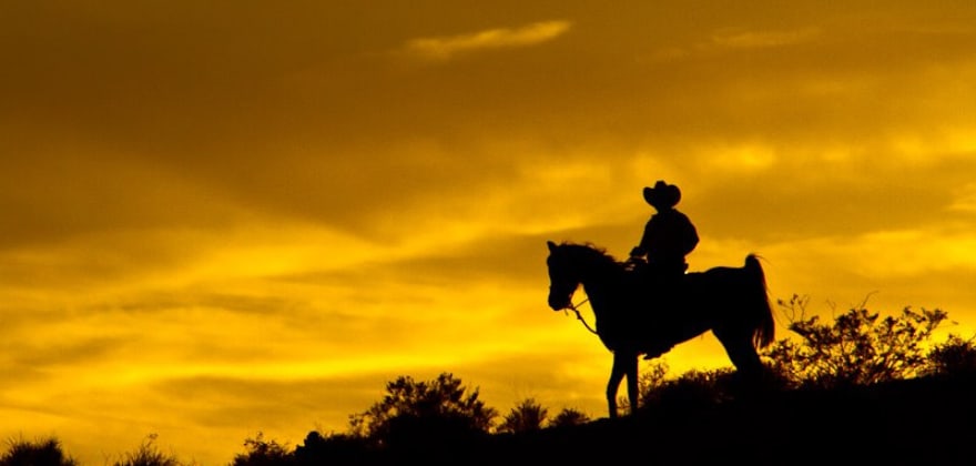 wild west horseback adventures aaa discount