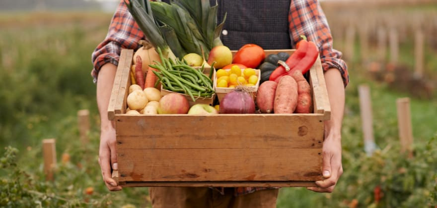 farmbox california aaa discount
