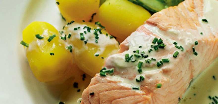 poached salmon makes for tasty travels in norway