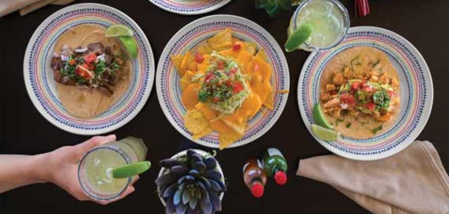 food at el loco fresh on navigator of the seas