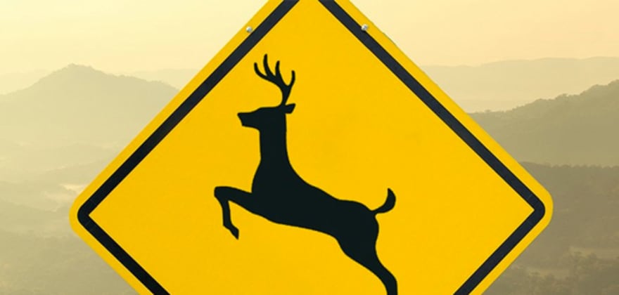 Yellow deer crossing sign with foggy mountains visible in the distance