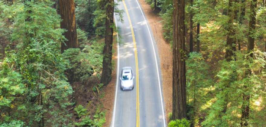 Car covered by AAA car insurance driving on a redwood-lined road in California