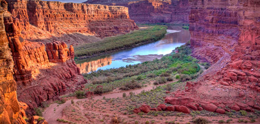 canyonlands national park near moab