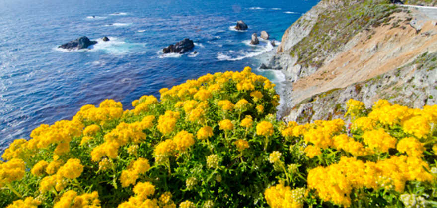 Monterey golf course and beach