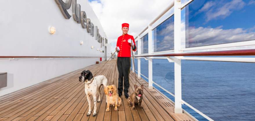 cruise with aaa travel and take your pets on a cunard cruise
