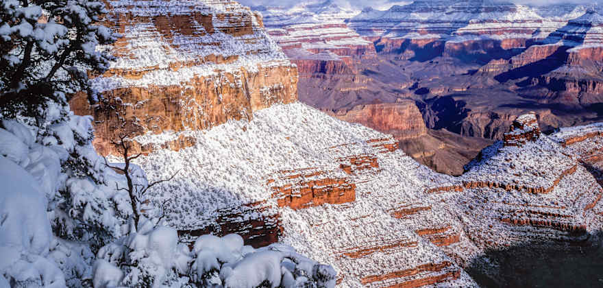 The Grand Canyon covered in snow.