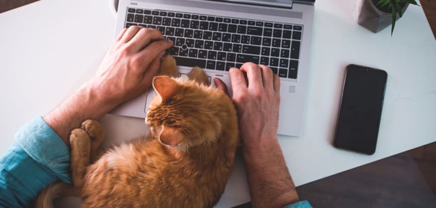 AAA member with cat on laptop
