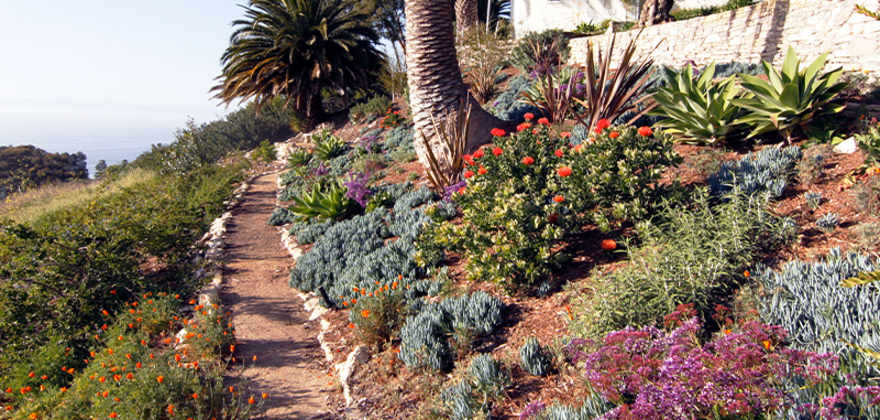 A sustainable garden can still be beautiful and eye-catching.