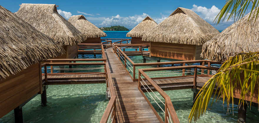 Tahiti image to come