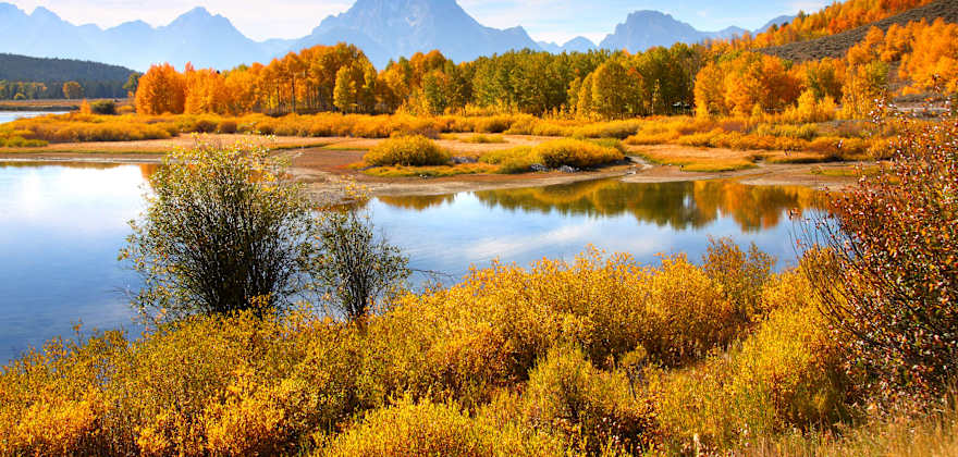Autumn color reflects in Oxbow Bend in Grand Teton National Park.