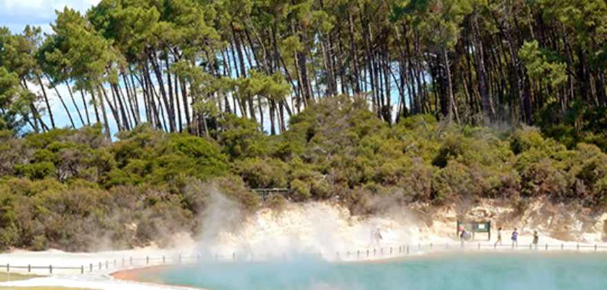 New Zealand beachfront 