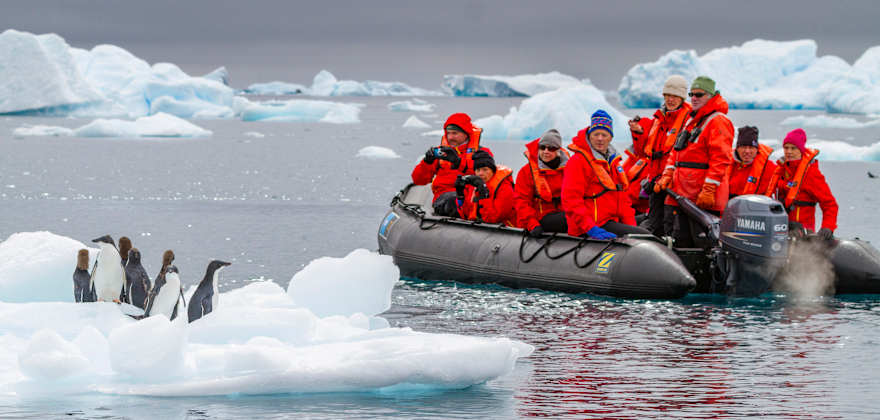 guests on an expedition cruise get up close to penguins in antarctica