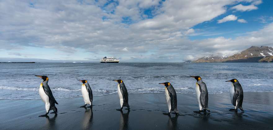 hurtigruten ship under norther lights