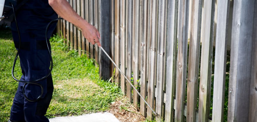 western pest control aaa discount