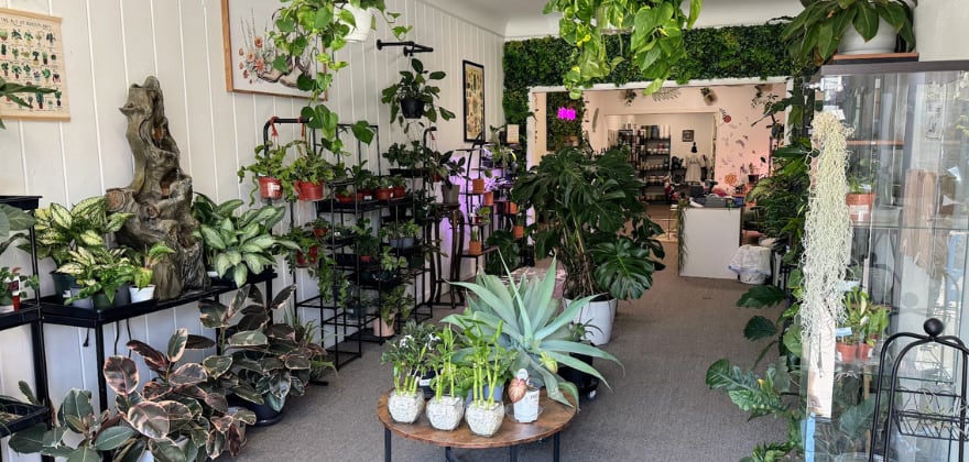 the green oasis aaa discount