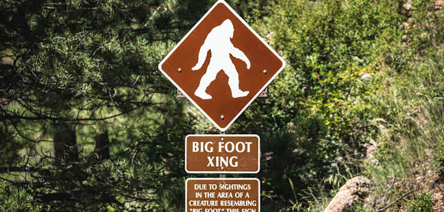 A brown Big Foot Crossing sign on a forested road.