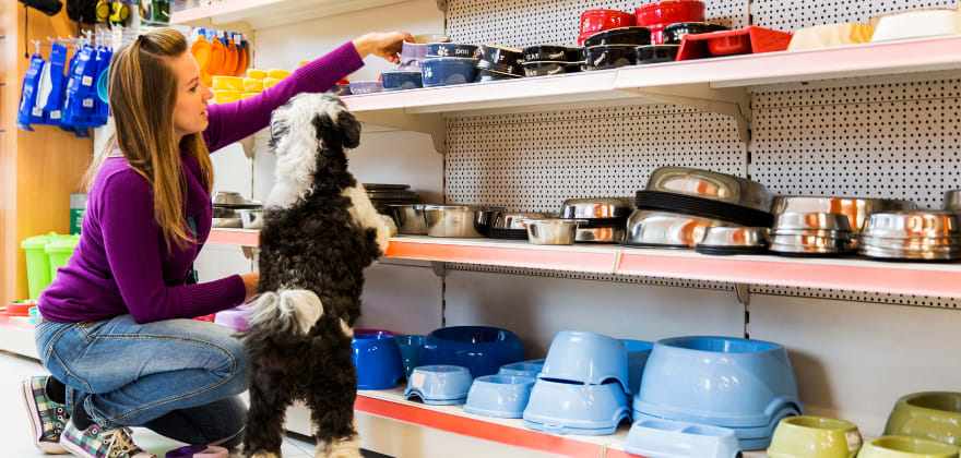 pets to go aaa discount